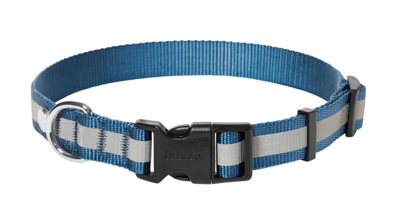 Frisco Reflective Dog Leash