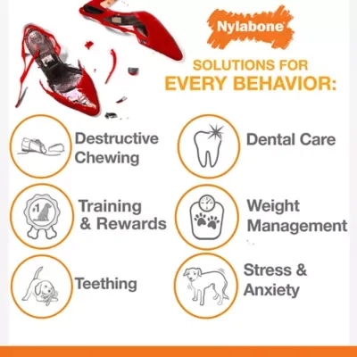 Nylabone DuraChew Textured Ring image 3