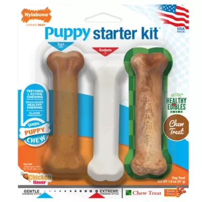 Nylabone Puppy Starter Kit image 2