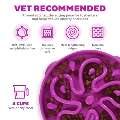 Outward Hound Fun Feeder Slow Bowl image 3