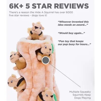 Outward Hound Hide A Squirrel Puzzle Toy image 2