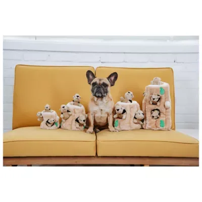 Outward Hound Hide A Squirrel Puzzle Toy image 3