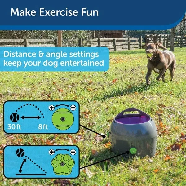 PetSafe Automatic Ball Launcher image 2