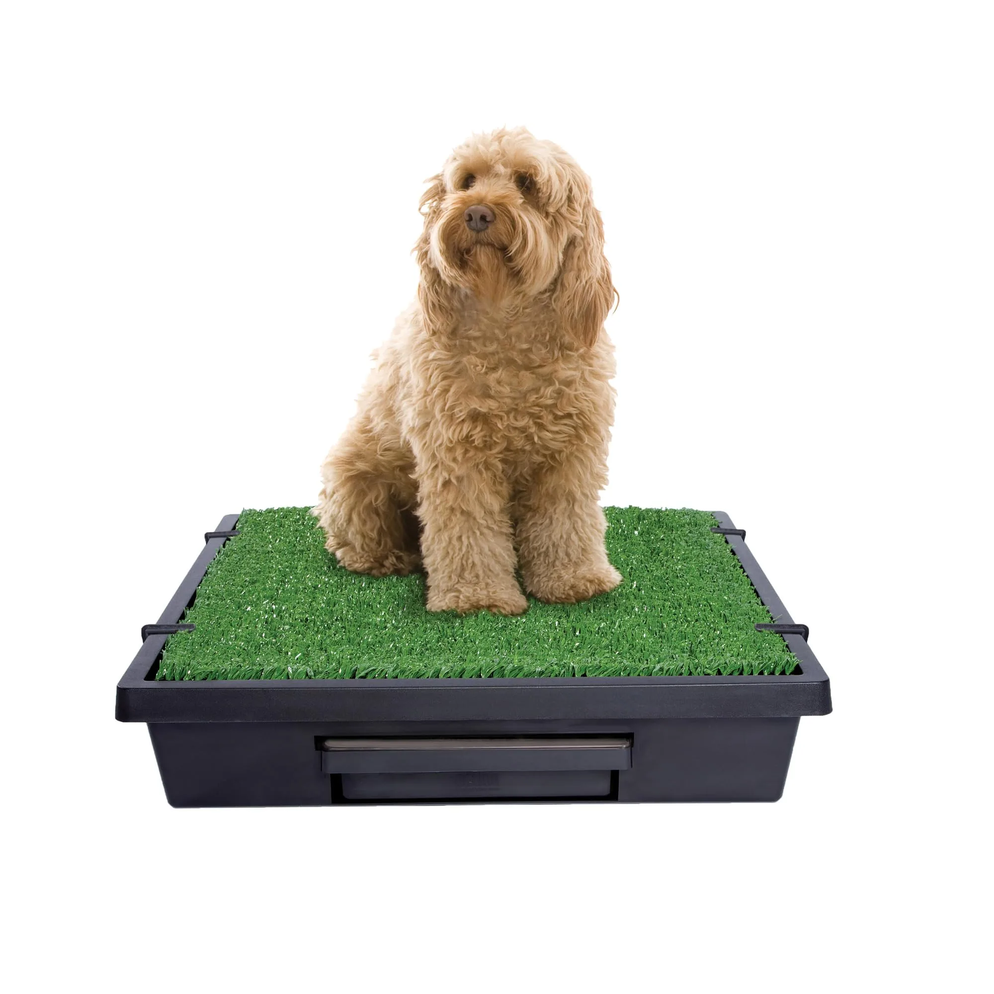 PetSafe Pet Loo Portable Potty